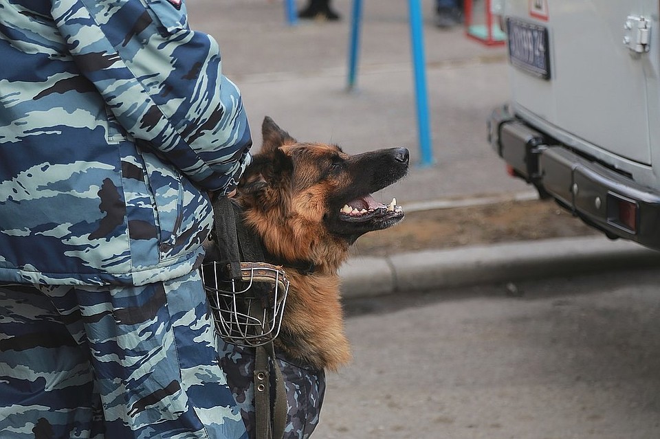Подозреваемым в зверском убийстве на кладбище Зеленогорска оказался 19-летний парень.