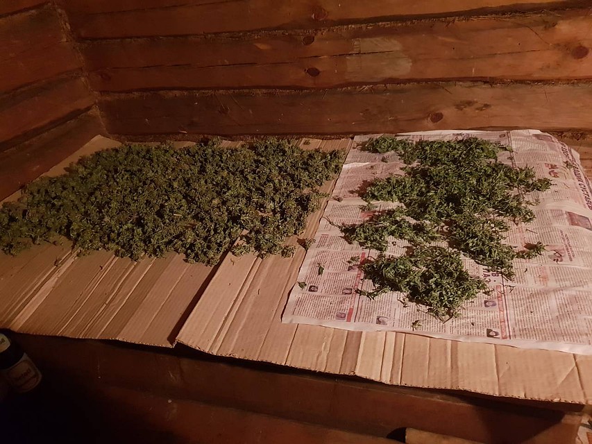 Дома наркотики подозреваемый хранил в уже готовом виде