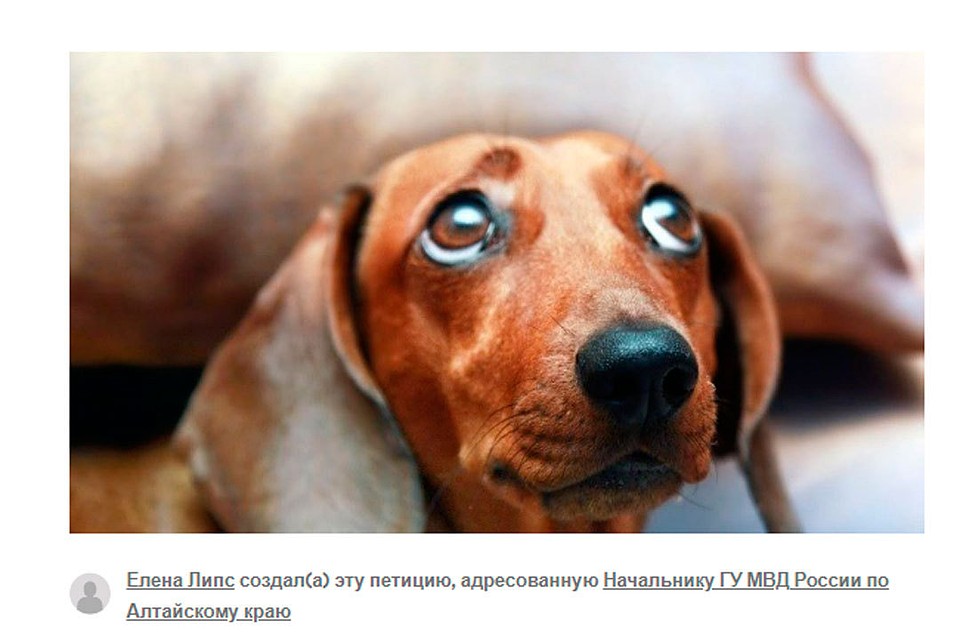 Скрин со страниц петиции