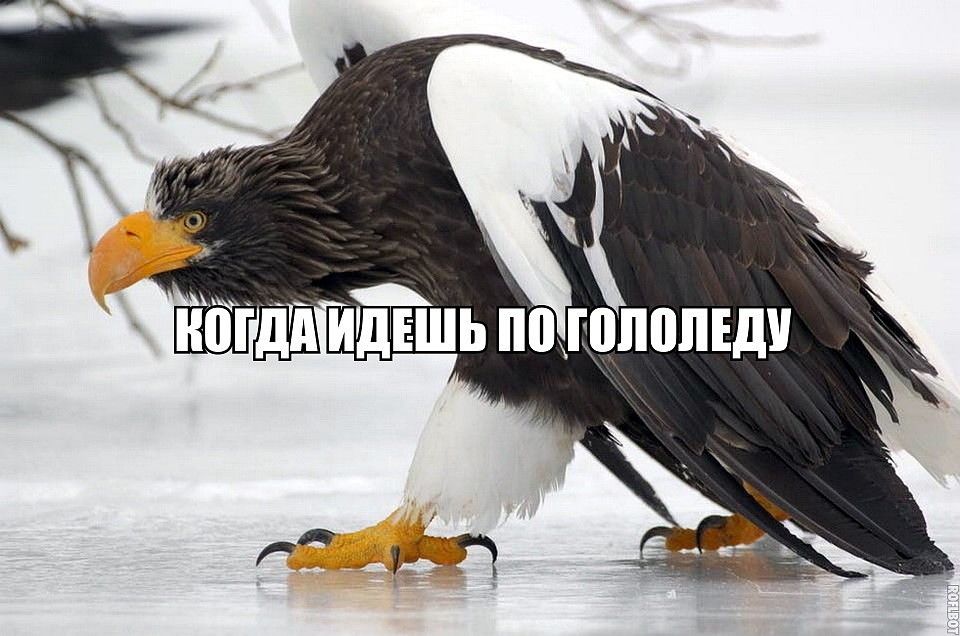 Фото взято из группы "Моя Тюмень" в ВК