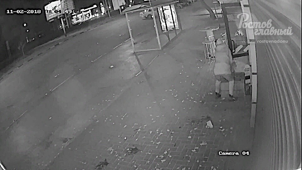 Женщина подошла к кадке у одного их общепитов на Западном и вырвала тую с корнями. Фото: группа Вконтакте "Ростов Главный".