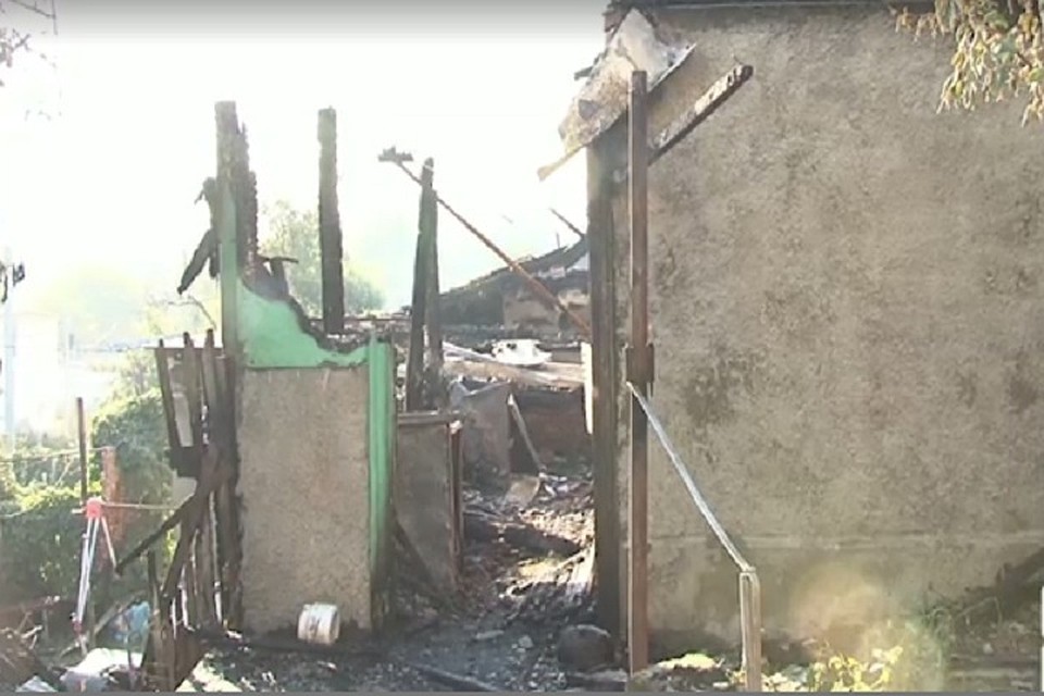 Фото: скриншот из видео