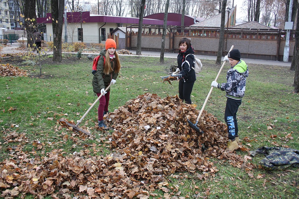 "Комсомолка" в традиционных оранжевых тонах приняла участие в уборке листьев.