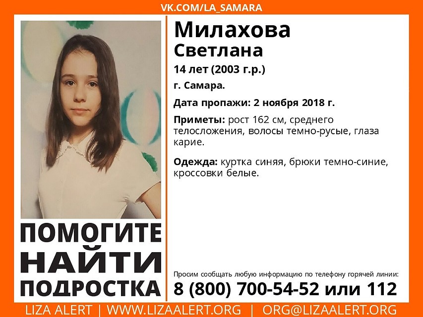 Фото: ДПСО "Лиза Алерт"