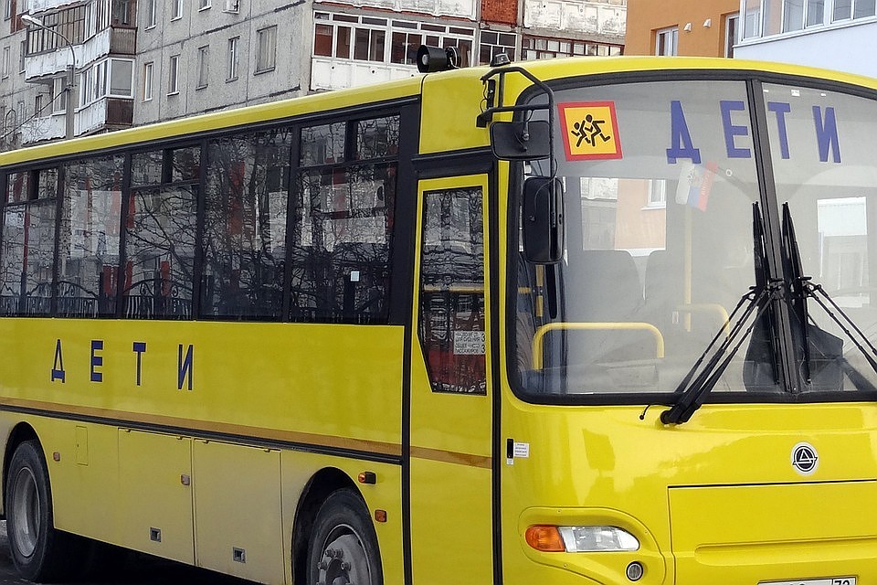 Новые школьные автобусы и машины скорой закупят для Красноярского края.