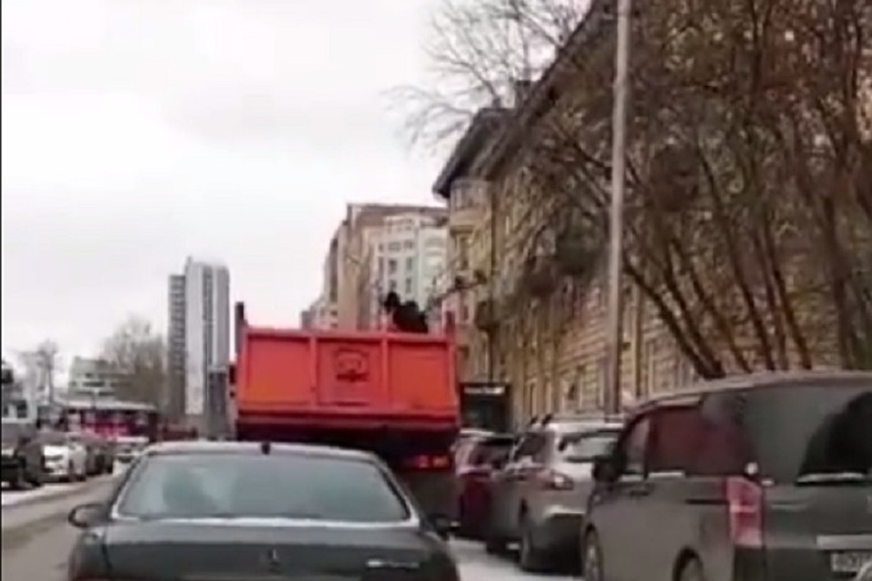 Песок летел из кузова очень быстро и стройными кучками. Фото: скриншот видео