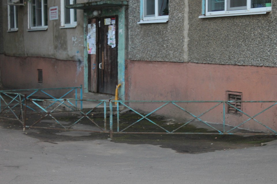 Фото с сайта ОНФ