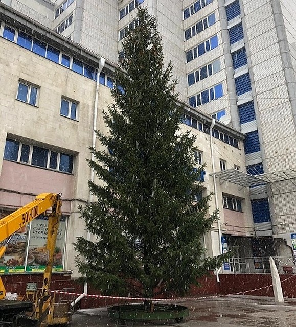 В Омске у Каскада установили елку