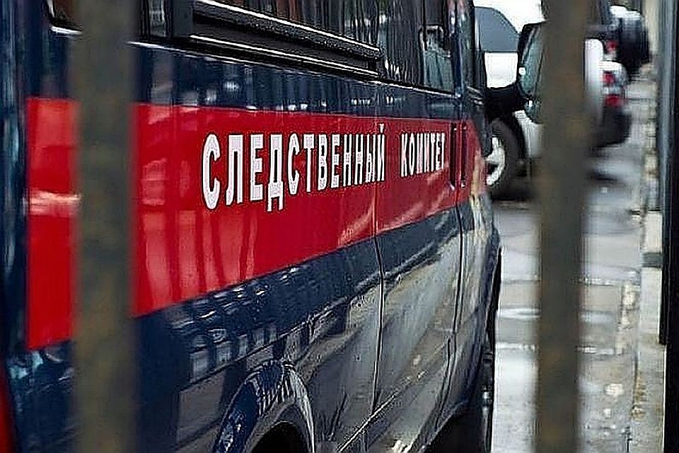 Многодетной нижегородкой, которая якобы пыталась продать своего полугодовалого ребенка, заинтересовались следователи