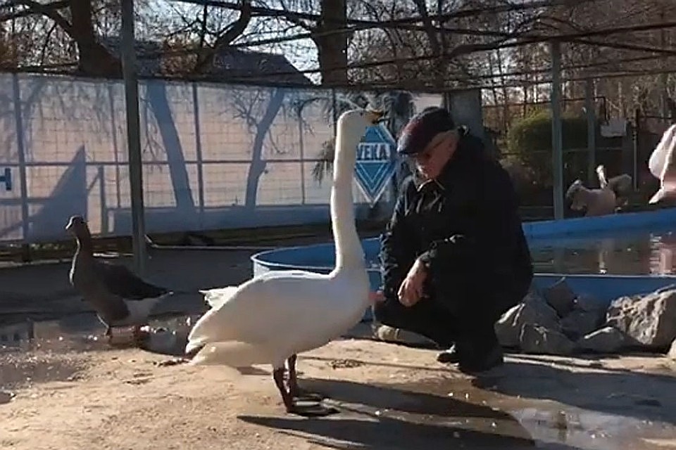 Жора