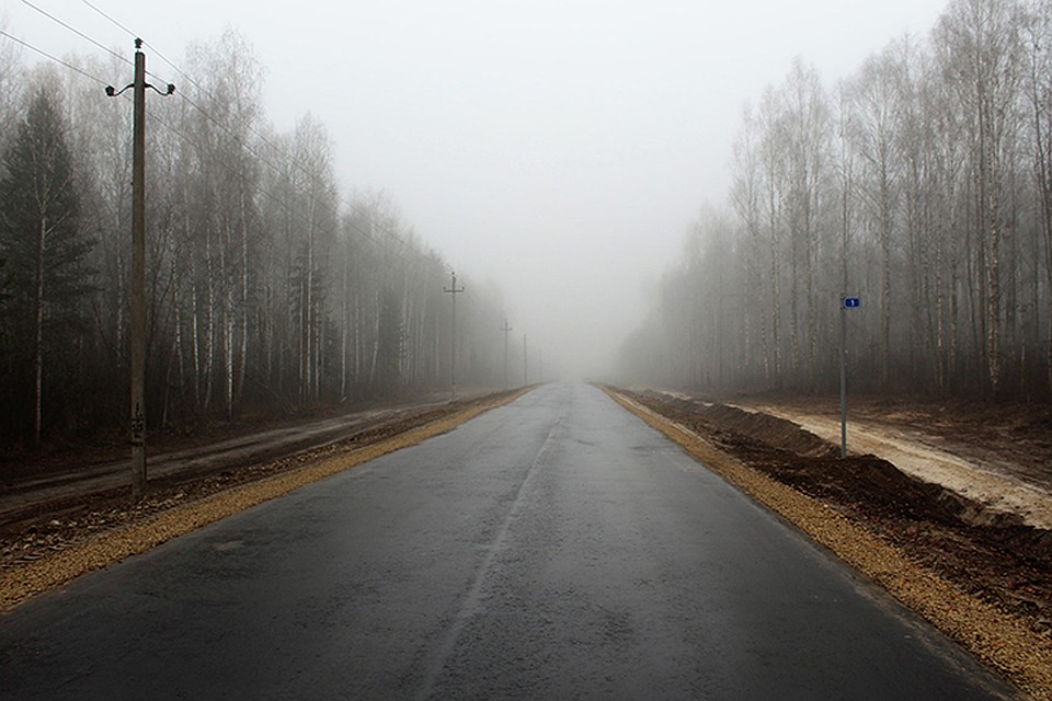 Фото: пресс-служба правительства Брянской области.