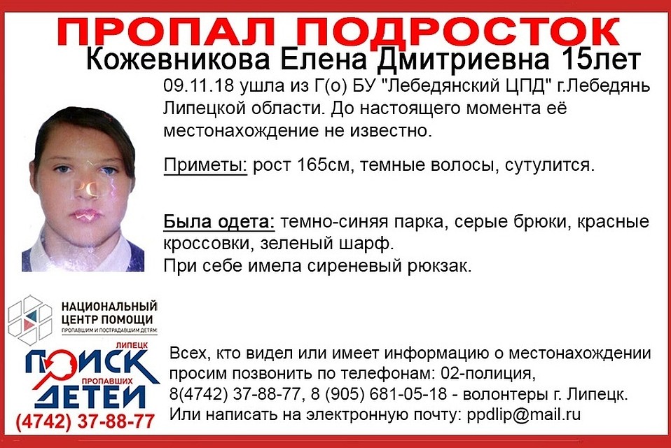 Волонтеры снова отправились на поиски Елены