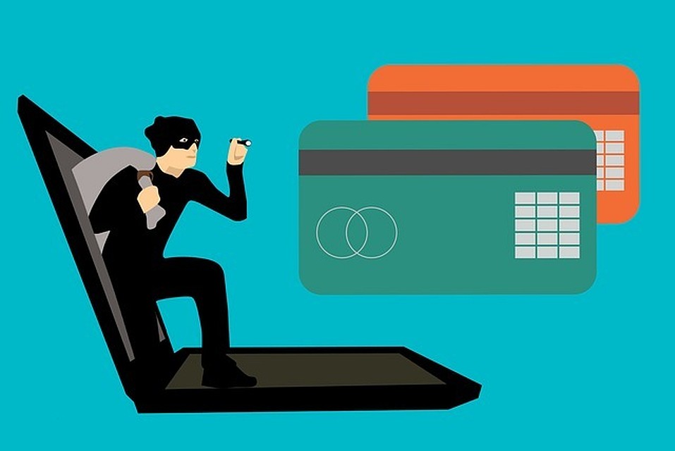 Продажа породистых щенков обошлась смолянке финансовыми потерями. ФОТО: pixabay.com
