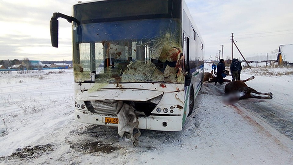 Фото: ГТРК "Башкортостан"