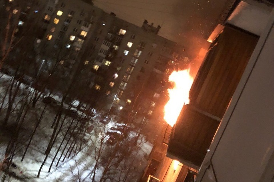 На Авангардной улице в Санкт-Петербурге с хлопками и взрывами сгорела квартира. Фото: vk.com/spb_today
