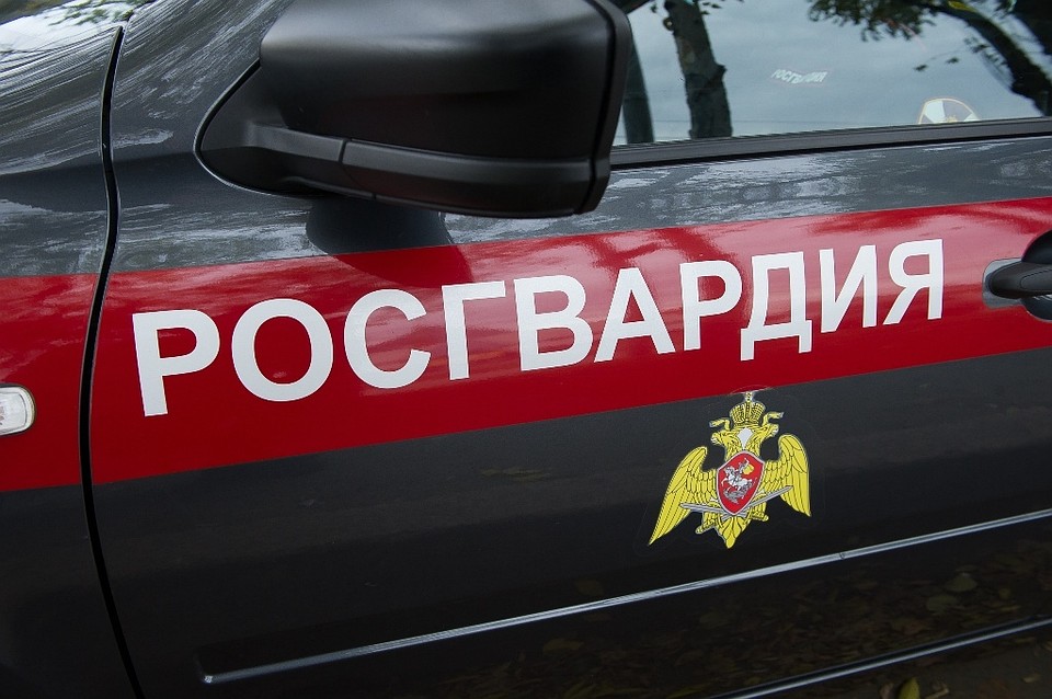 Угонщику грозит до пяти лет тюрьмы. Фото: Росгвардия Челябинск.