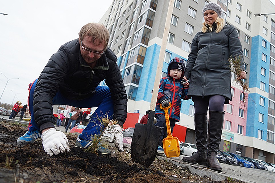 Семье малыша нужно прийти в назначенный день в один из городских парков и высадить деревце