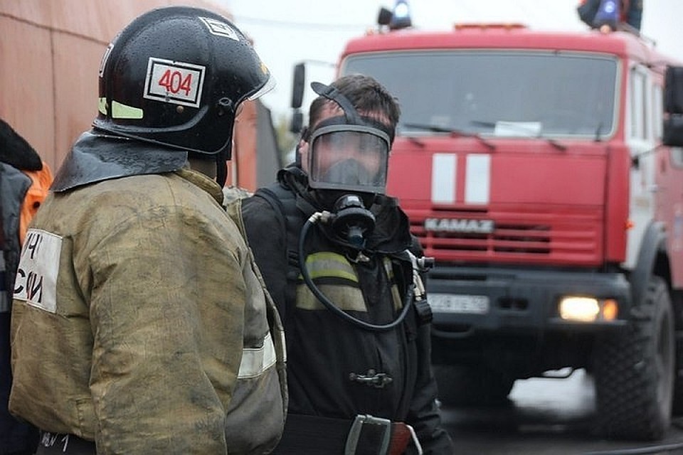 Фото: Из материалов пресс-служб