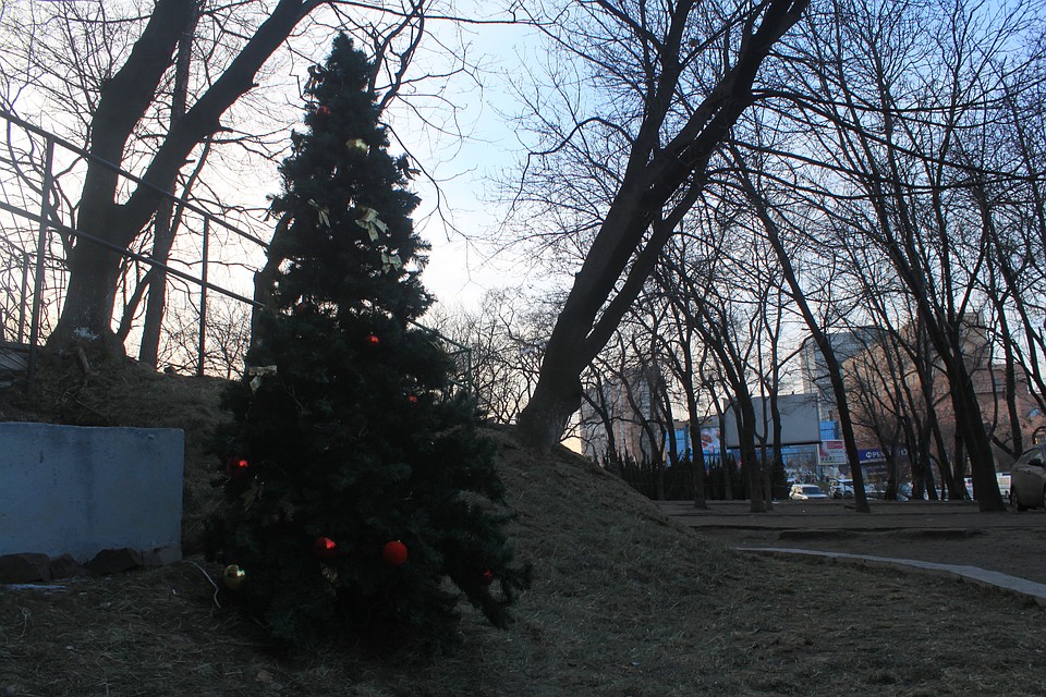 Вполне возможно, что и на Новый год будет такая же погода, как сегодня