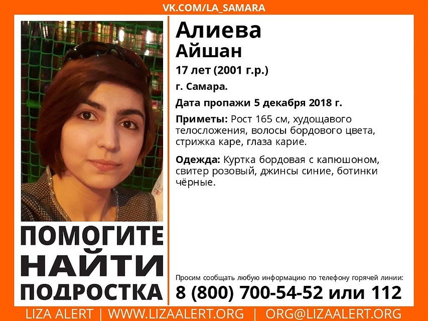 фото: ДПСО "Лиза Алерт"