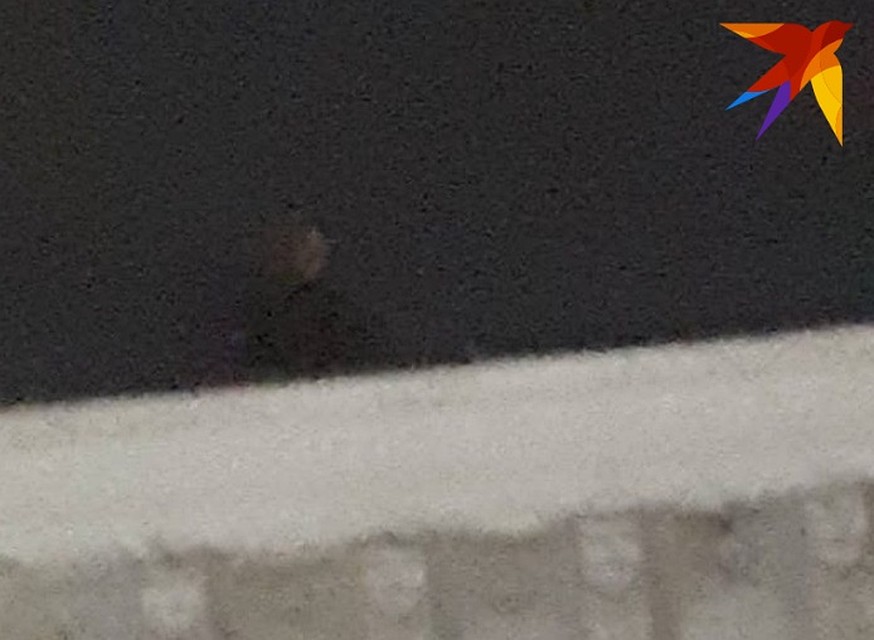 Молодой человек показывает неприличный жест.
