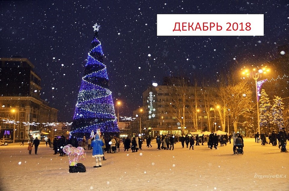 Высота елки 23 метра. Фото: Евгении Карпачевой