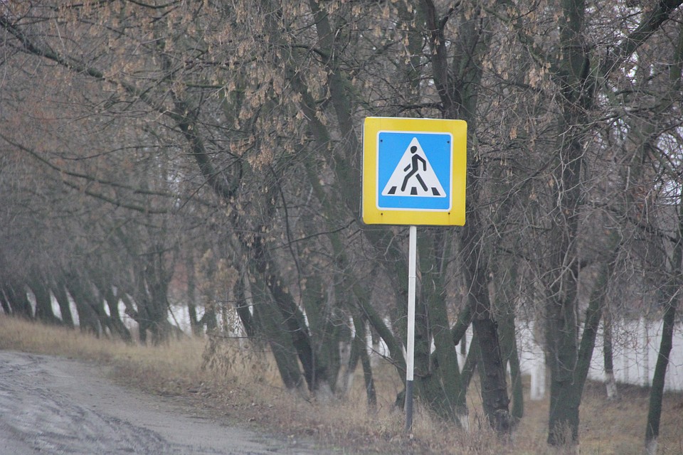 В результате пешеход от полученных травм скончался на месте происшествия