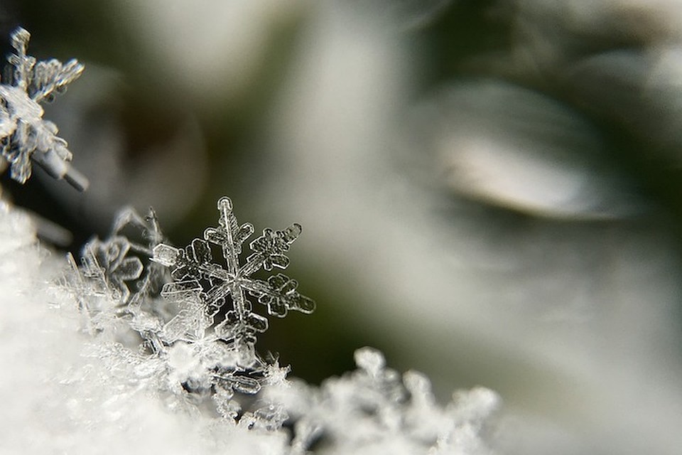 Житель Малоритского района замерз на сеноскладе. Фото с сайта pixabay.com