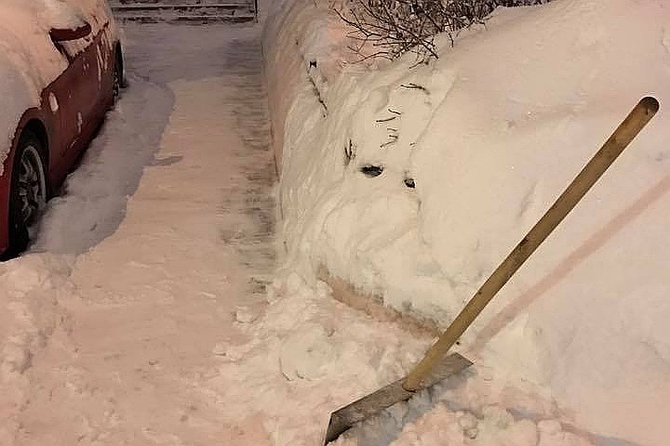В Петербурге нашли коммунального мастера стиля "боевой лопаты". Фото: СМОЛЯКОВ Алексей.