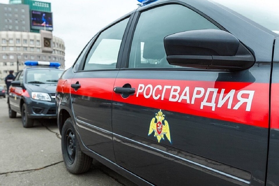 В Гдове в магазине задержан мужчина, который пришел "за покупками" после закрытия торгового зала. Фото с сайта Росгвардии.