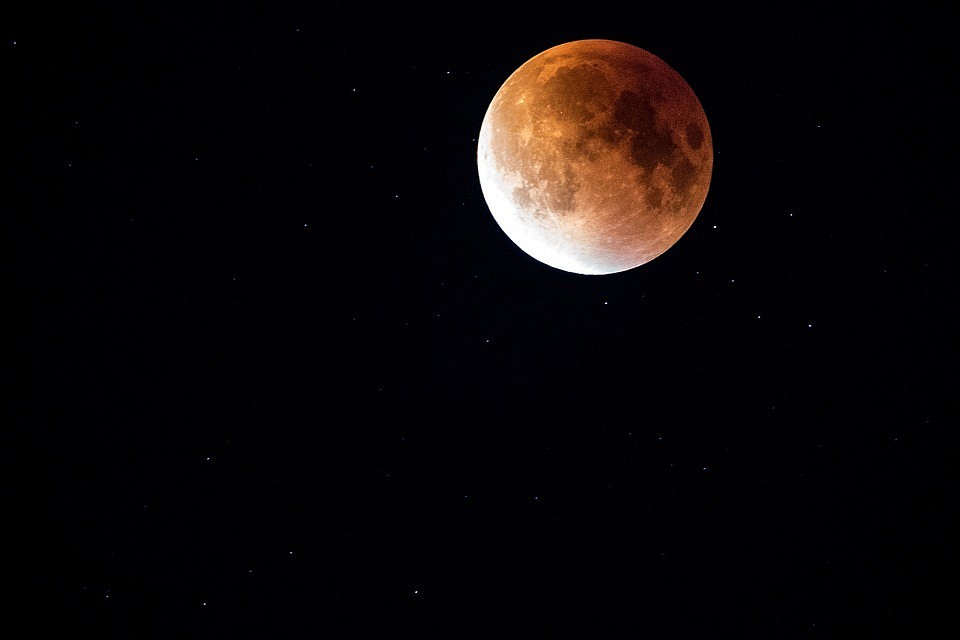 Фото: pixabay.com