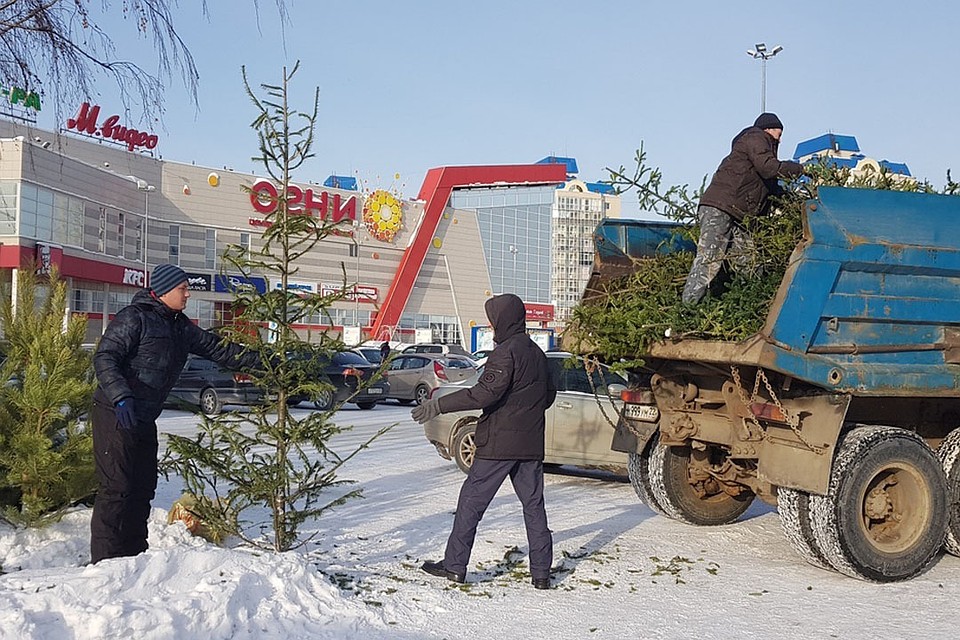 Фото: предоставлено организаторами акции