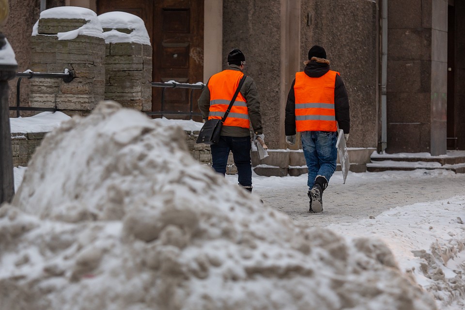 В Петербурге 14 января выпадет 7 сантиметров снега