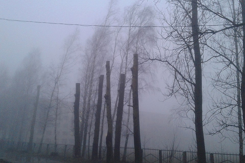Последние дни января: будет туманно и слякотно.