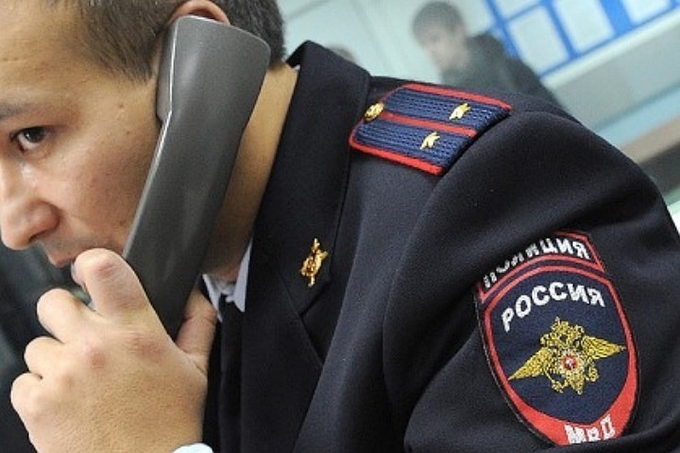 Полиция задержала вора