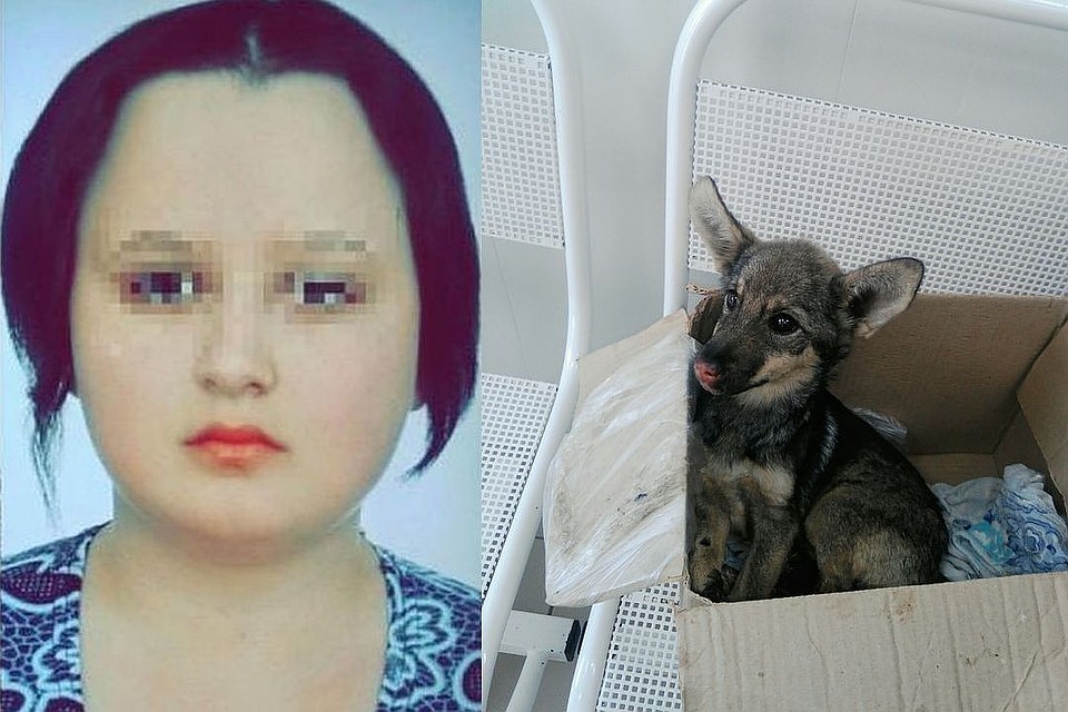 Щенка спасти не удалось. А Ольгу отдали под суд.