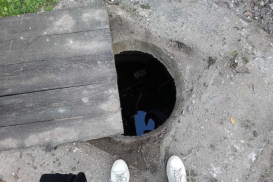 В Ленобласти люди рискнули жизнью подростка, чтобы спасти кота.