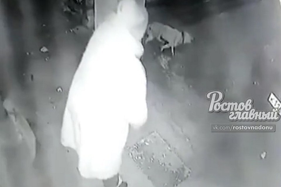 Похожий случай произошел на Северном в январе этого года. Фото: стоп-кадр группа Вконтакте "Ростов Главный".
