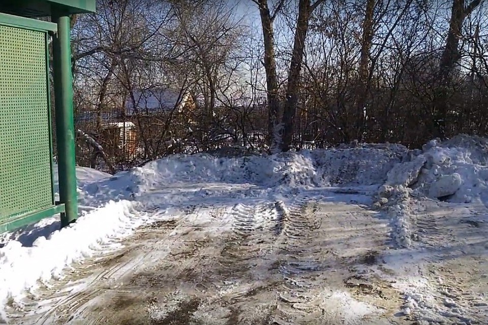 Вот так сгребли снег вместе с саженцами. Фото: кадр с видео.