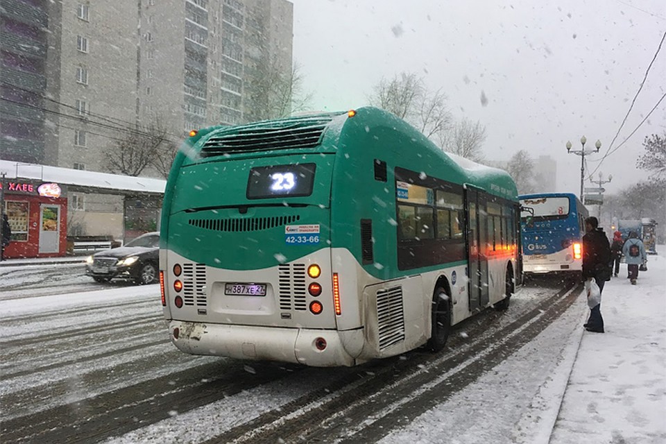 Утром - деньги, вечером - стулья: краевые перевозчики настаивают на авансах за перевозку льготников