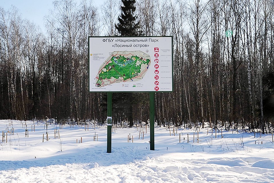 Шестилетний мальчик, которого мать привезла на "Лосиный остров", выжил после ночи на холоде только потому, что не уснул