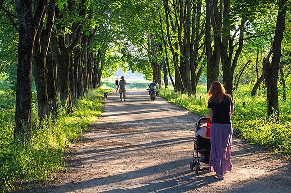 ФОТО: pixabay.com