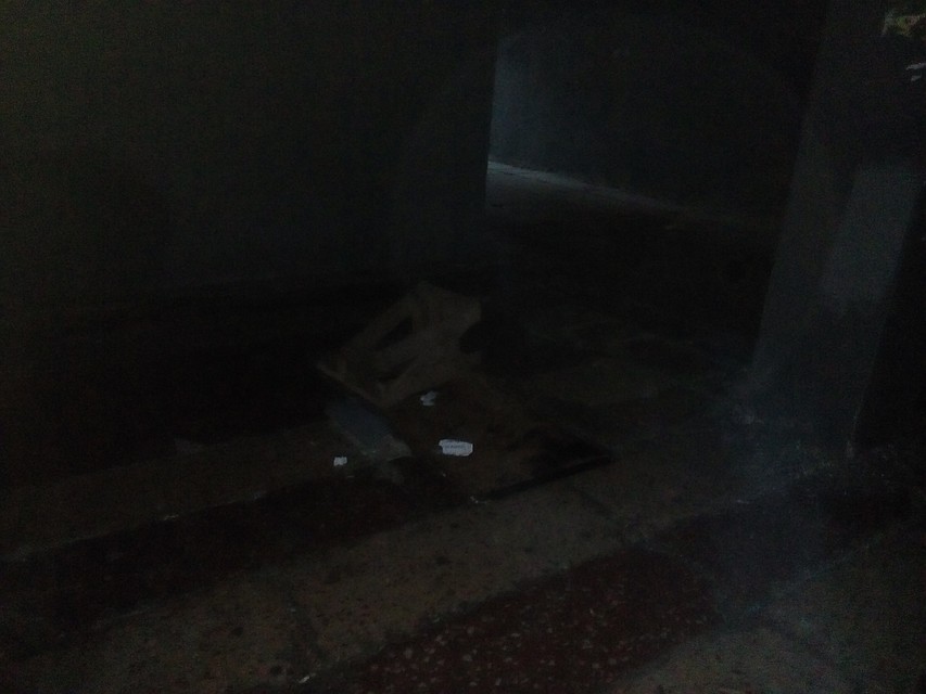 Фото: Галина Кошкина.