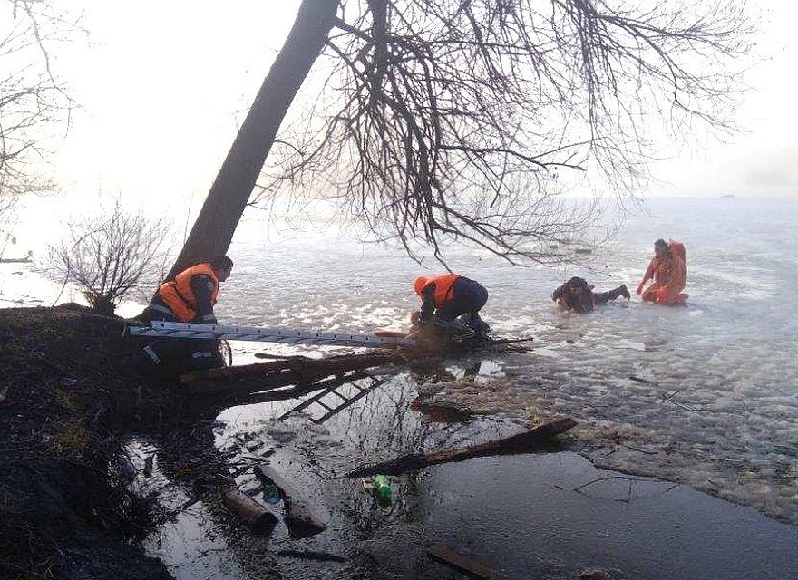 Фото пресс-службы Главного управления МЧС России по Белгородской области.