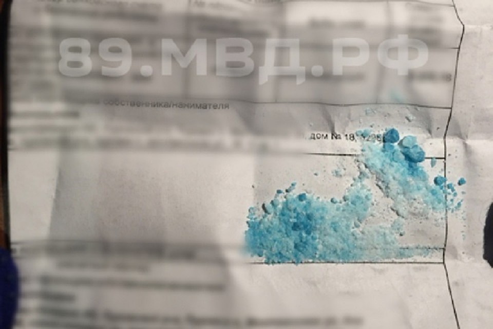 На молодого пуровчанина завели уголовное дело за синий порошок Фото: 89.мвд.рф