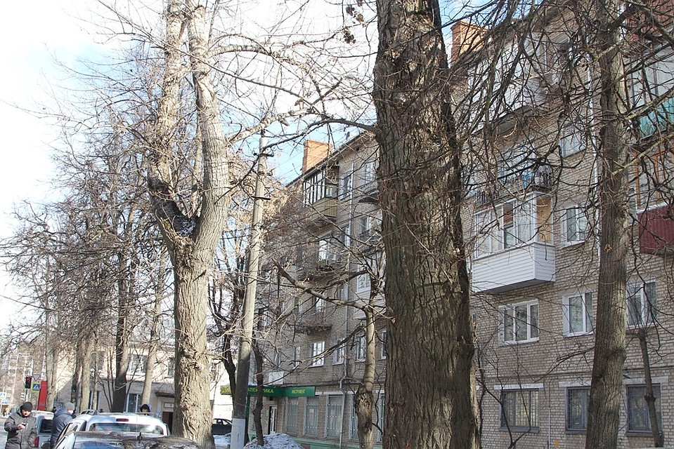 Фото: Администрация Тулы