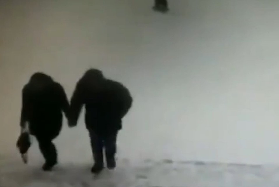 фото: скриншот видео