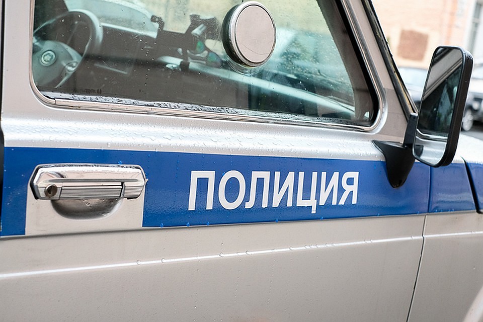 Братьев поймали после очередного похищения