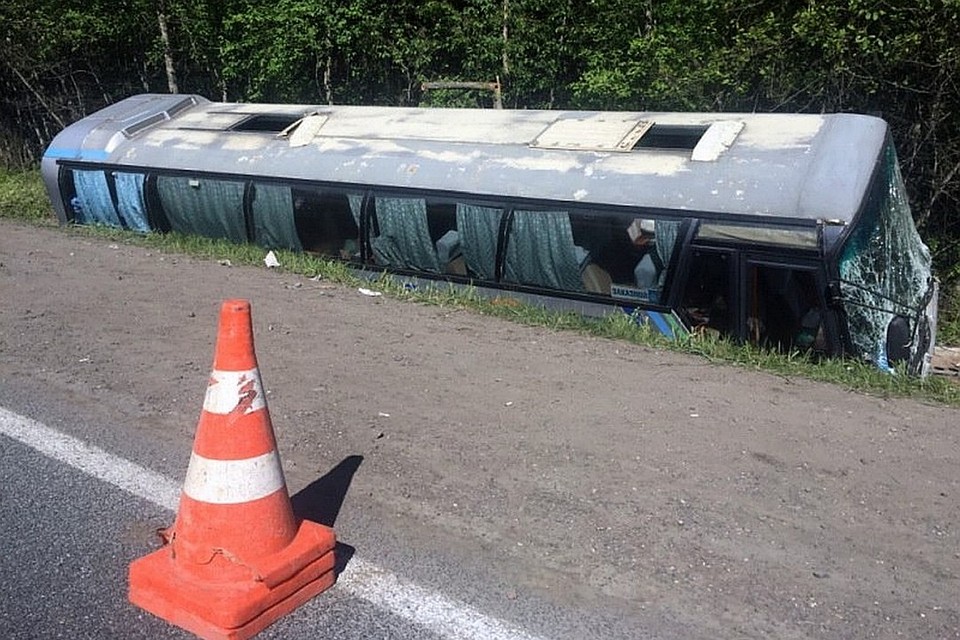 ДТП с участием экскурсионного автобуса произошло в Псковской области 22 мая 2018 года - водитель потерял сознание, пострадали 22 школьника. Фото: пресс-служба УМВД России по региону.