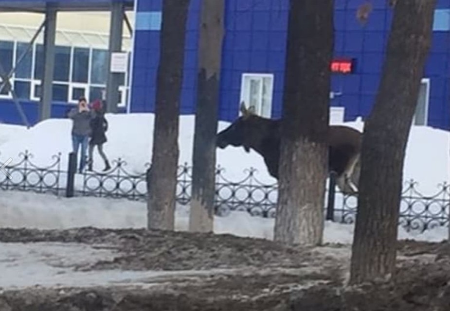 фото: соцсети